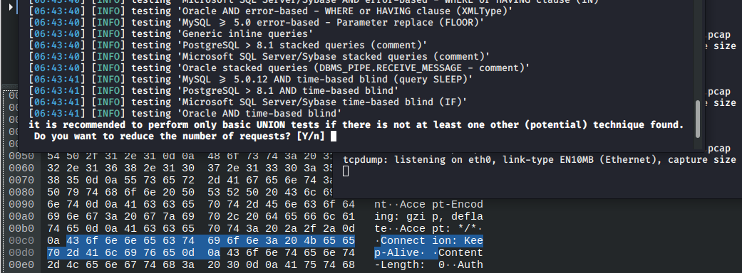 Web Penetration Testing